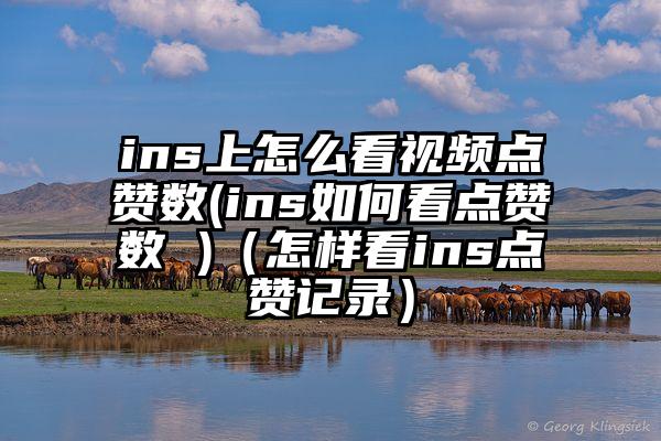 ins上怎么看视频点赞数(ins如何看点赞数 )（怎样看ins点赞记录）