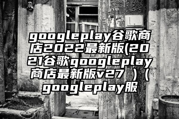 googleplay谷歌商店2022最新版(2021谷歌googleplay商店最新版v27 )（googleplay服
