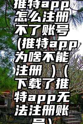 推特app怎么注册不了账号(推特app为啥不能注册 )（下载了推特app无法注册账号）