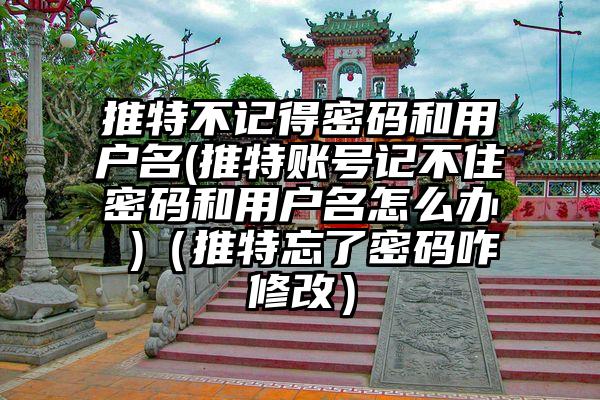 推特不记得密码和用户名(推特账号记不住密码和用户名怎么办 )（推特忘了密码咋修改）
