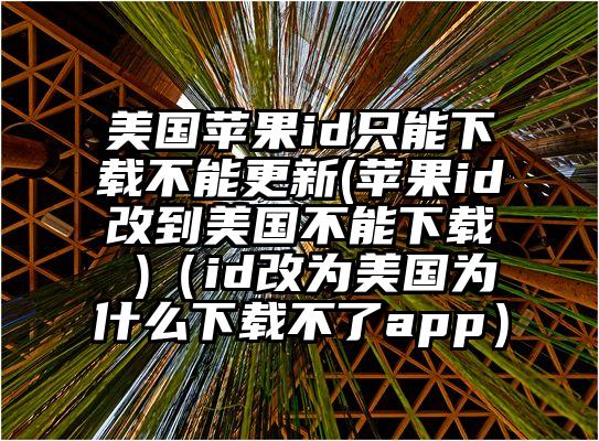 美国苹果id只能下载不能更新(苹果id改到美国不能下载 )(id改为美国为什么下载不了app)