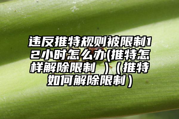 违反推特规则被限制12小时怎么办(推特怎样解除限制 )（推特如何解除限制）