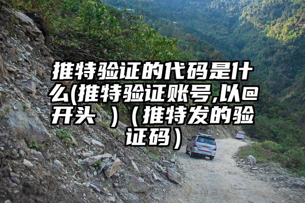 推特验证的代码是什么(推特验证账号,以@开头 )（推特发的验证码）