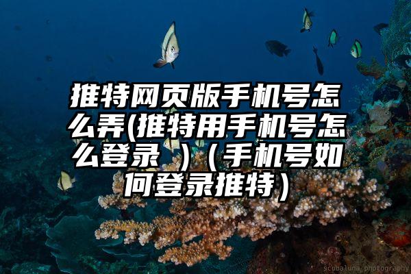 推特网页版手机号怎么弄(推特用手机号怎么登录 )（手机号如何登录推特）