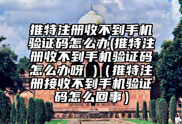 推特注册收不到手机验证码怎么办(推特注册收不到手机验证码怎么办呀 )（推特注册接收不到手机验证码怎么回事）