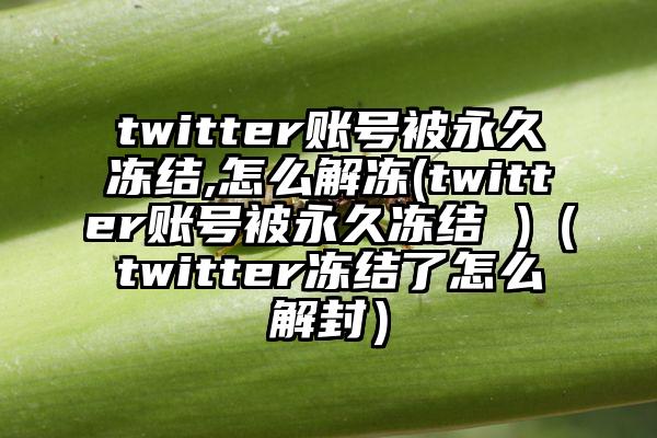 twitter账号被永久冻结,怎么解冻(twitter账号被永久冻结 )（twitter冻结了怎么解封）