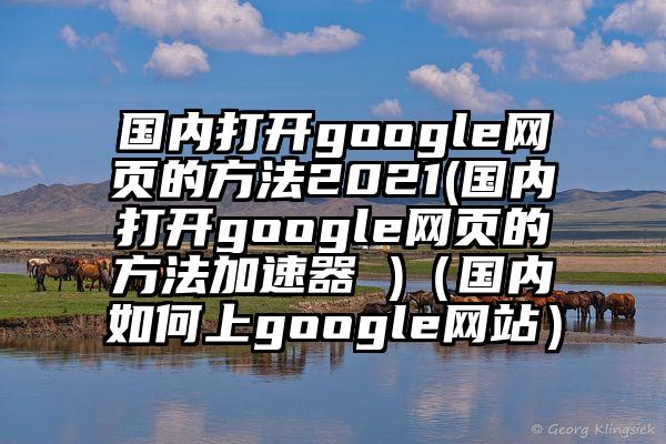国内打开google网页的方法2021(国内打开google网页的方法加速器 )（国内如何上google网站）