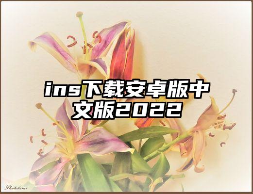 ins下载安卓版中文版2022