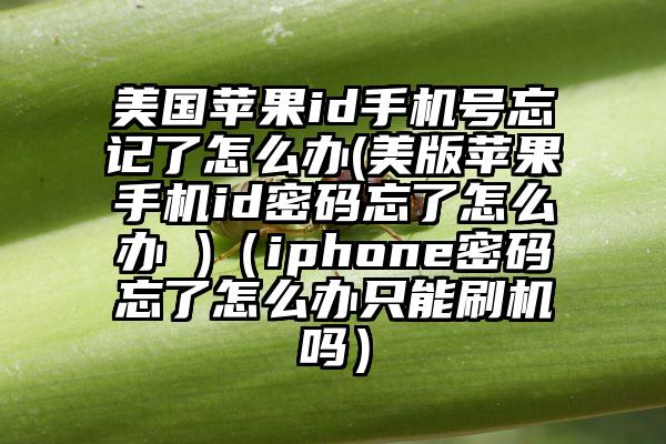 美国苹果id手机号忘记了怎么办(美版苹果手机id密码忘了怎么办 )（iphone密码忘了怎么办只能刷机吗）