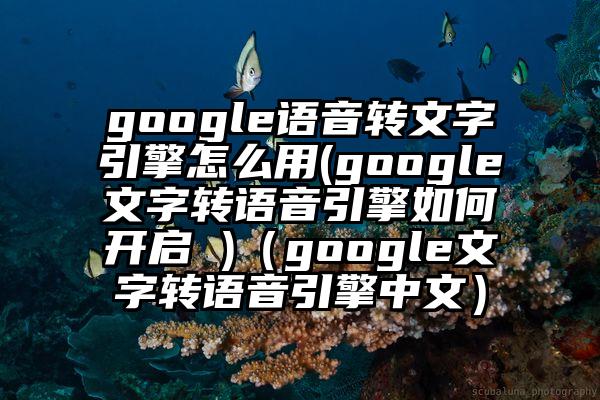 google语音转文字引擎怎么用(google文字转语音引擎如何开启 )（google文字转语音引擎中文）