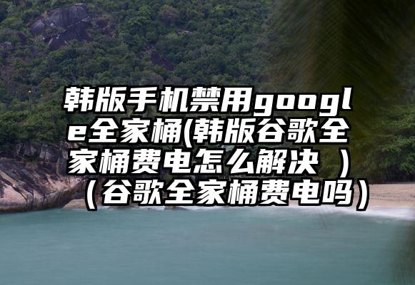 韩版手机禁用google全家桶(韩版谷歌全家桶费电怎么解决 )（谷歌全家桶费电吗）