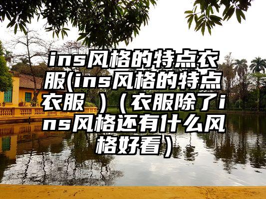 ins风格的特点衣服(ins风格的特点衣服 )（衣服除了ins风格还有什么风格好看）