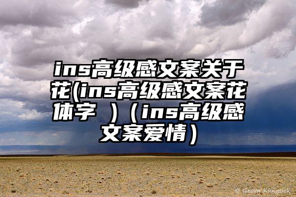 ins高级感文案关于花(ins高级感文案花体字 )（ins高级感文案爱情）