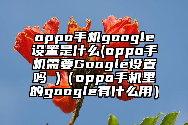 oppo手机google设置是什么(oppo手机需要Google设置吗 )（oppo手机里的google有什么用）