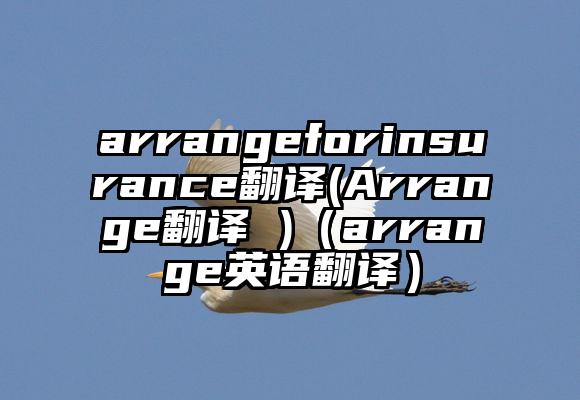 arrangeforinsurance翻译(Arrange翻译 )（arrange英语翻译）