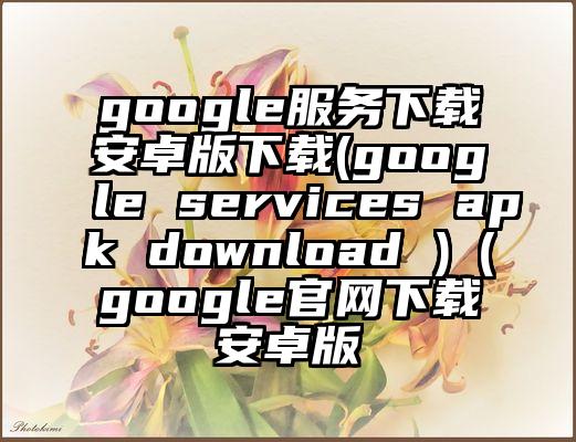 google服务下载安卓版下载(google services apk download )（google官网下载安卓版