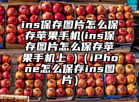 ins保存图片怎么保存苹果手机(ins保存图片怎么保存苹果手机上 )（iPhone怎么保存ins图片）