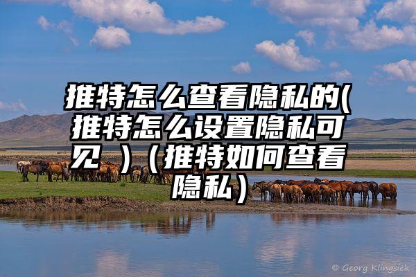 推特怎么查看隐私的(推特怎么设置隐私可见 )（推特如何查看隐私）