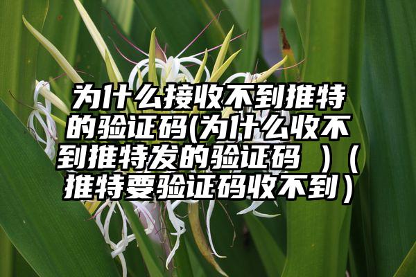 为什么接收不到推特的验证码(为什么收不到推特发的验证码 )（推特要验证码收不到）