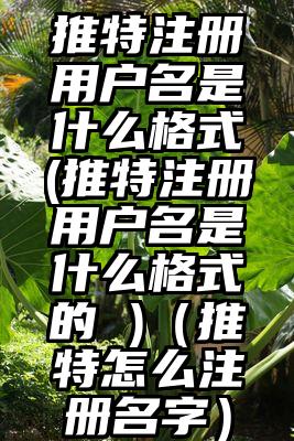 推特注册用户名是什么格式(推特注册用户名是什么格式的 )（推特怎么注册名字）