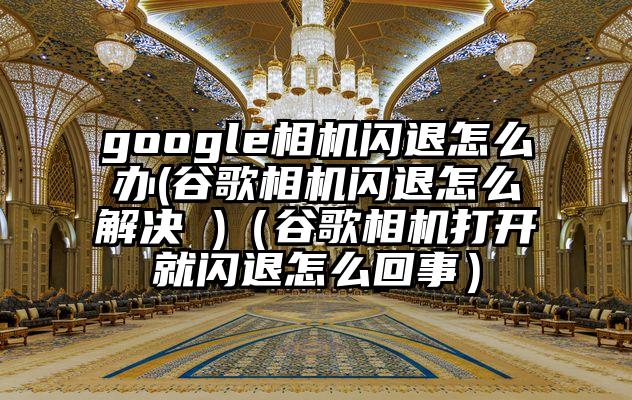 google相机闪退怎么办(谷歌相机闪退怎么解决 )（谷歌相机打开就闪退怎么回事）