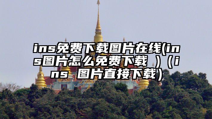 ins免费下载图片在线(ins图片怎么免费下载 )（ins 图片直接下载）