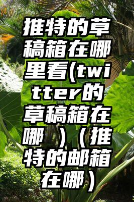 推特的草稿箱在哪里看(twitter的草稿箱在哪 )（推特的邮箱在哪）