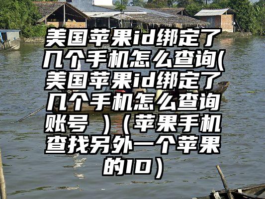 美国苹果id绑定了几个手机怎么查询(美国苹果id绑定了几个手机怎么查询账号 )（苹果手机查找另外一个苹果的ID）