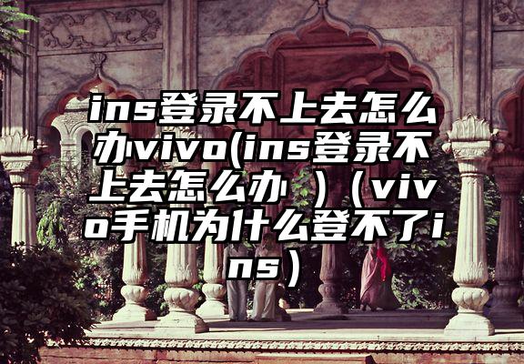 ins登录不上去怎么办vivo(ins登录不上去怎么办 )（vivo手机为什么登不了ins）