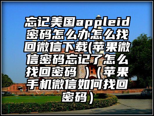 忘记美国appleid密码怎么办怎么找回微信下载(苹果微信密码忘记了怎么找回密码 )（苹果手机微信如何找回密码）