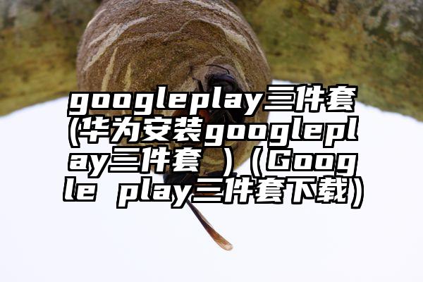 googleplay三件套(华为安装googleplay三件套 )（Google play三件套下载）