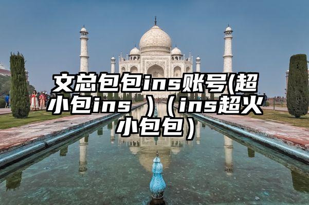文总包包ins账号(超小包ins )（ins超火小包包）