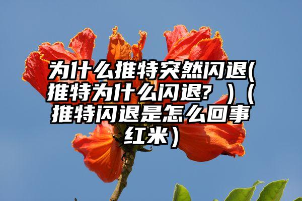 为什么推特突然闪退(推特为什么闪退? )（推特闪退是怎么回事红米）