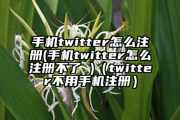 手机twitter怎么注册(手机twitter怎么注册不了 )（twitter不用手机注册）