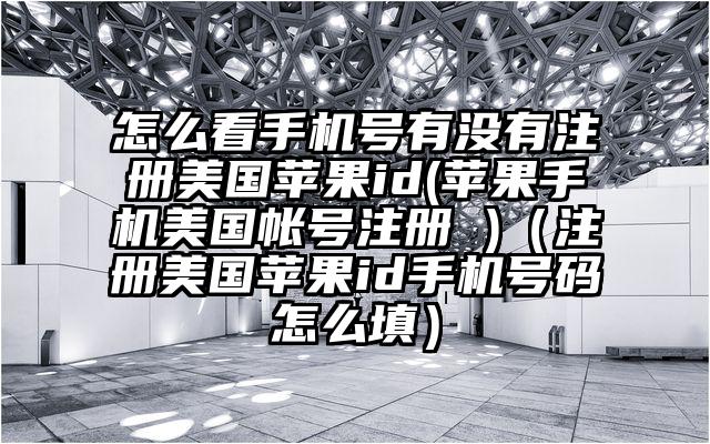怎么看手机号有没有注册美国苹果id(苹果手机美国帐号注册 )（注册美国苹果id手机号码怎么填）