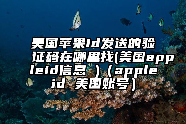 美国苹果id发送的验证码在哪里找(美国appleid信息 )(appleid 美国账号)
