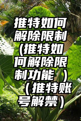 推特如何解除限制(推特如何解除限制功能 )（推特账号解禁）