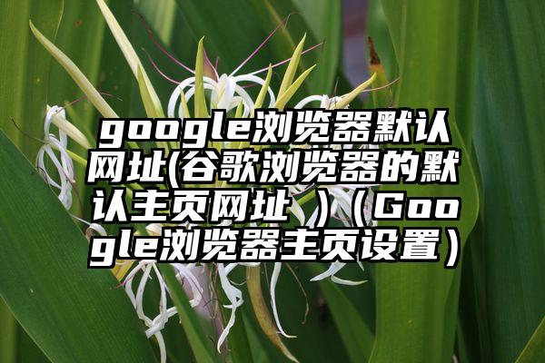 google浏览器默认网址(谷歌浏览器的默认主页网址 )（Google浏览器主页设置）