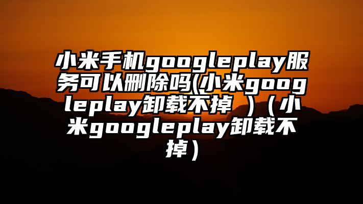 小米手机googleplay服务可以删除吗(小米googleplay卸载不掉 )（小米googleplay卸载不掉）