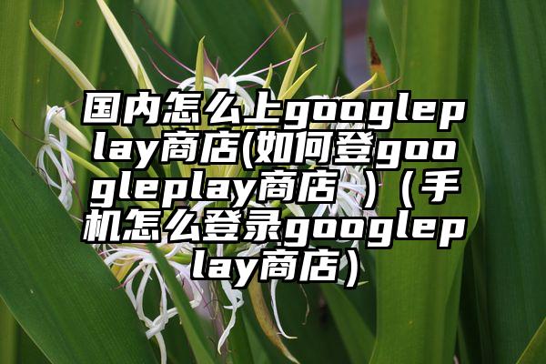 国内怎么上googleplay商店(如何登googleplay商店 )（手机怎么登录googleplay商店）