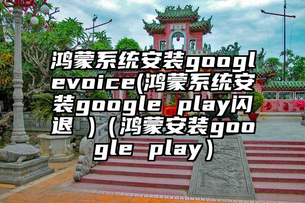 鸿蒙系统安装googlevoice(鸿蒙系统安装google play闪退 )（鸿蒙安装google play）