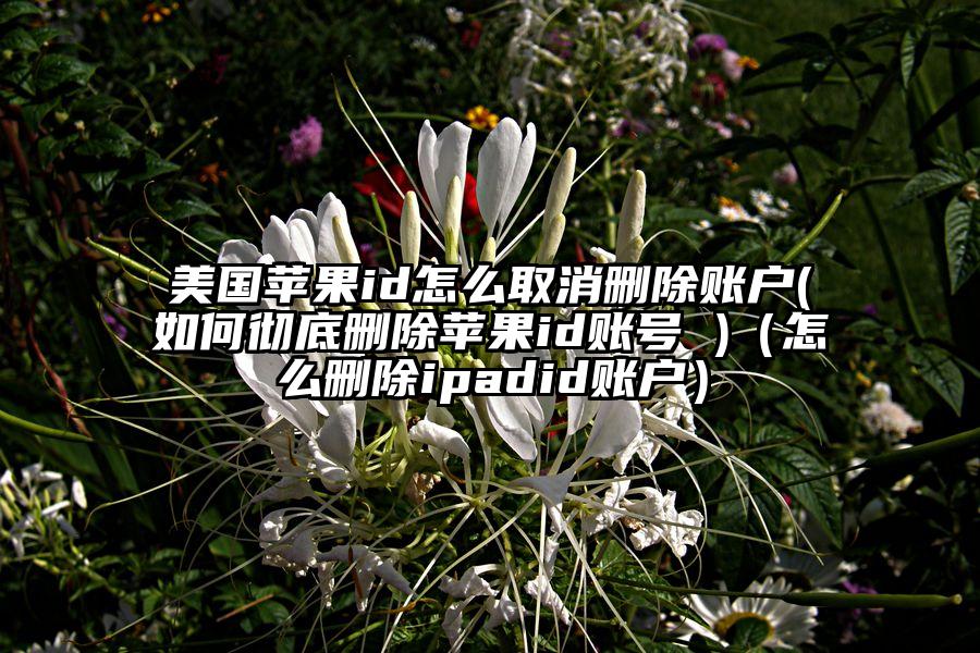 美国苹果id怎么取消删除账户(如何彻底删除苹果id账号 )（怎么删除ipadid账户）
