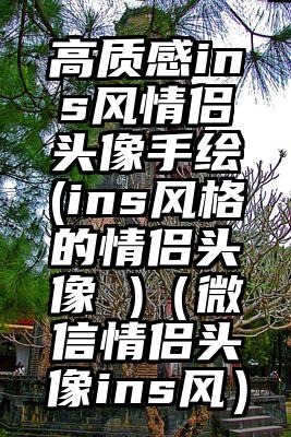 高质感ins风情侣头像手绘(ins风格的情侣头像 )(微信情侣头像ins风)