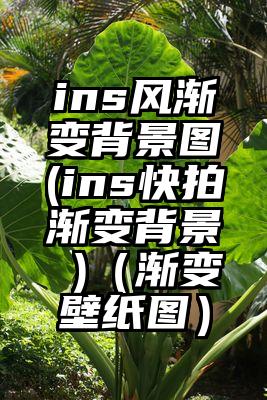 ins风渐变背景图(ins快拍渐变背景 )（渐变壁纸图）