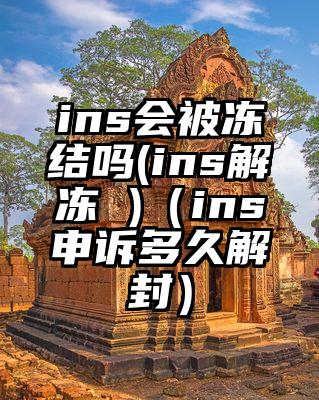 ins会被冻结吗(ins解冻 )（ins申诉多久解封）