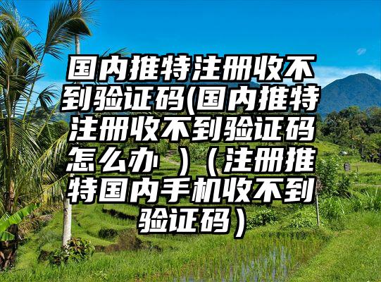 国内推特注册收不到验证码(国内推特注册收不到验证码怎么办 )（注册推特国内手机收不到验证码）