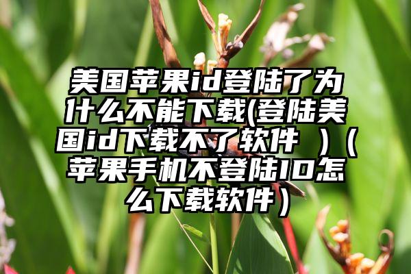 美国苹果id登陆了为什么不能下载(登陆美国id下载不了软件 )（苹果手机不登陆ID怎么下载软件）