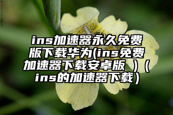 ins加速器永久免费版下载华为(ins免费加速器下载安卓版 )（ins的加速器下载）