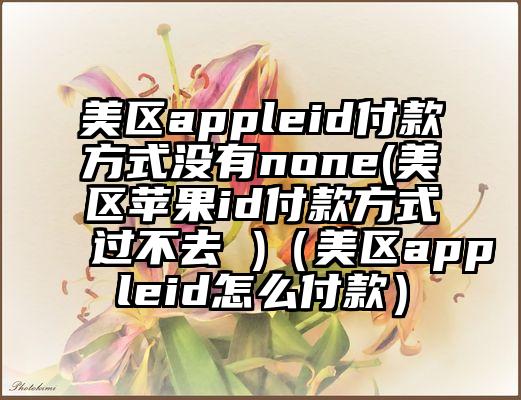 美区appleid付款方式没有none(美区苹果id付款方式过不去 )（美区appleid怎么付款）