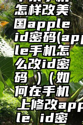 苹果手机怎样改美国appleid密码(apple手机怎么改id密码 )（如何在手机上修改apple id密码）